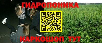 spice Бийск