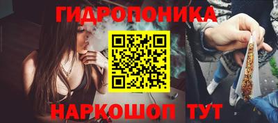 spice Бийск